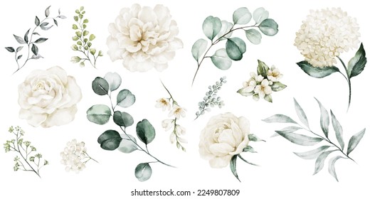 Conjunto de ilustraciones florales de acuarela. Flores blancas, hojas verdes colección de elementos individuales. Rosa, peonía, eucalipto. Para ramos, coronas, invitaciones de boda, aniversario, cumpleaños, huellas. 