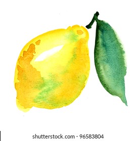 Watercolour Hand Iluustration Of Lemon Fruit