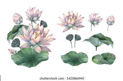 Watercolour illustration.Beautiful set with lotus flowers and leaves on white background.Perfect for wedding invitations, cards, frames, posters, packing,cosmetics,prints.  