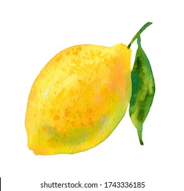 Watercolour Lemon Illustration. Hand Drawn Citrus. Fresh Yellow Lemon Fruit. Bright And Fresh Illustration. Watercolor Botanical Painting.