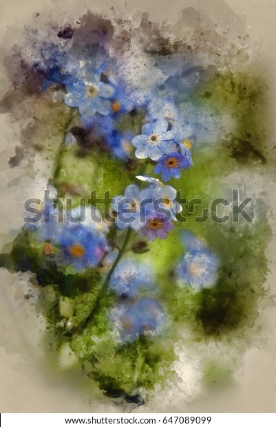 Watercolour Painting Beautiful Forgetmenot Spring Flowers Stock Illustration 647089099