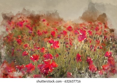 Watercolour painting of Beautiful landscape image of Summer poppy field 