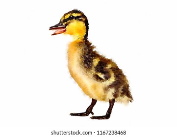 Duck watercolour Images, Stock Photos & Vectors | Shutterstock