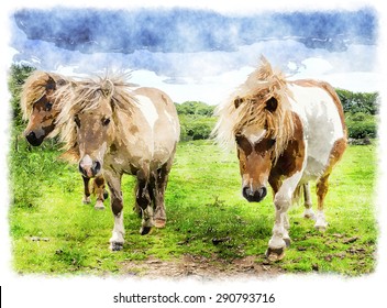 Watercolour painting of ponies on Bodmin Moor in Cornwall