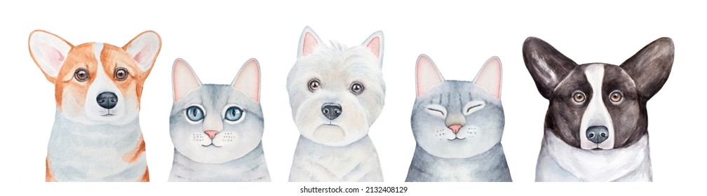 Watercolour set of five different cute pets: grey tabby kittens, West Highland White Terrier and Welsh Corgi puppies. Hand painted water color graphic drawing, cutout design elements for decoration.