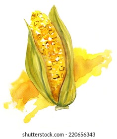 Watercolour Sweet Corn On White Background