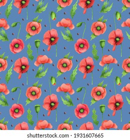 poppy and blossom