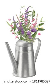 Watering Can With Meadow Flowrs Bouquette. Spring Summer Garden Garden High Resolution Watercolor Illustration