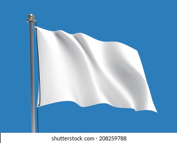 Waving Flag/Blank Flag - Blue Background