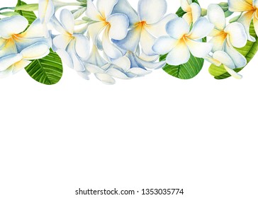 プルメリア イラスト High Res Stock Images Shutterstock