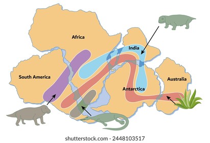 Wegener's first piece of evidence was that the coastlines of some continents fit together like pieces of a jigsaw puzzle.