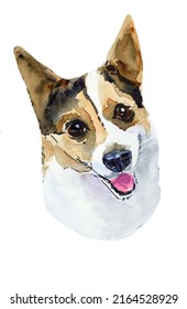 Welsh corgi dog smiling on a white background. Pet Watercolor illustration. Hand drawn. Poppy painting. Smile dog art. 