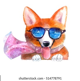 Welsh Corgi  Sunglasses On A White Background.