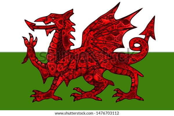 Welsh flag with
reptile skin on the red
dragon.