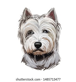 West Highland White Terrier or Westie dog breed portrait isolated on white. Digital art illustration, watercolor drawing of hand drawn doggy. Pet has soft and dense undercoat and rough outer coat.