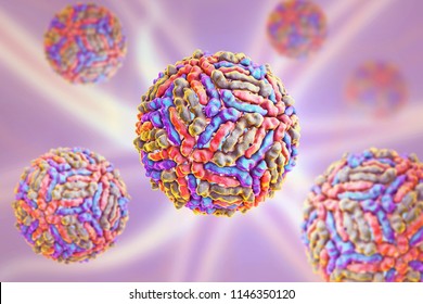 West Nile Virus WNV, 3D Illustration. A Virus Transmitted By Mosquito And Causing West Nile Fever