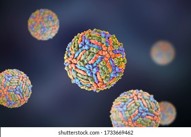 West Nile Virus, WNV, 3D Illustration. A Virus That Is Transmitted By Mosquito And Causes West Nile Fever