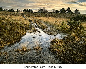 A wet day on a heathland footpath. Chobham Common, Surrey, England  with puddles, grass, heather, pine trees.