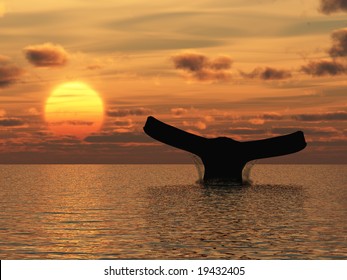 Whale