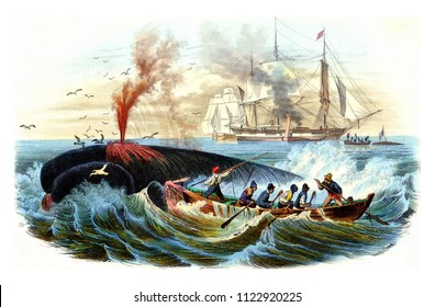 Whale fishing, vintage engraved illustration. Natural History from Lacepede