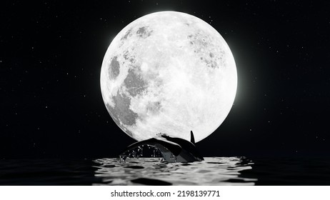 Whale Jumping In The Ocean Have Water Splash With Moon And Star Background.3D Rendering Animal In Natural At Night Time.