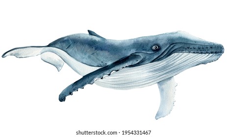 16,830 Humpback whale tail Images, Stock Photos & Vectors | Shutterstock