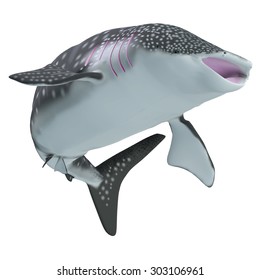 Whale Shark Body - The Whale Shark Is A Slow-moving Filter Feeder And Is Found In Tropical Ocean Waters.