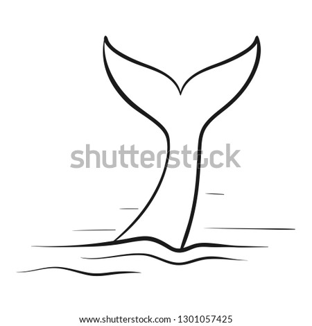 Whale tail scetch
