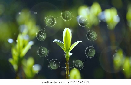 What is necessary for forest conservation: water, sunlight, thinning, environment, circulation, afforestation, biomass power generation, effective use of domestic wood.  - Powered by Shutterstock