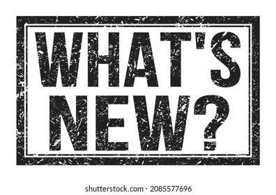 WHAT'S NEW?, Words Written On Black Rectangle Stamp Sign