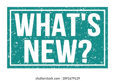 WHAT'S NEW?, Words Written On Blue Rectangle Stamp Sign