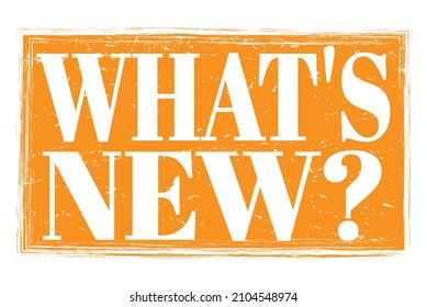 WHAT'S NEW?, Words Written On Orange Grungy Stamp Sign