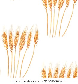 Wheat Ear Seamless Pattern On White Background. Watercolor Hand Drawing Illustration. Golden Spike Texture For Textile, Wallpaper.