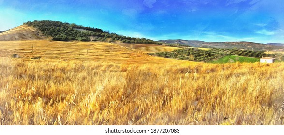 Wheat field colorful painting looks like picture, Andalusia, Spain.
