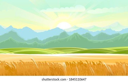 Wheat field. Rural hills and meadows. Scenery. Pasture grass for cows and a place for vegetable gardens and farming. Horizon. Beautiful view. Summer.
