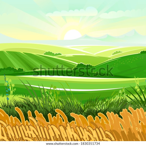 Wheat Field Rural Hills Meadows Scenery Stock Illustration 1830351734