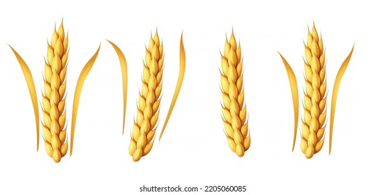 Wheat, Isolated On White Background, 3d Illustration, 3d Rendering, Realism, Photo Realistic