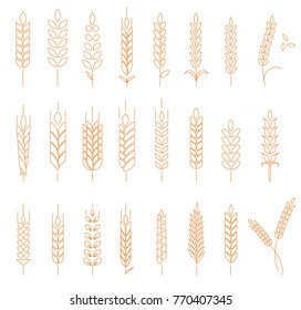 Wheat  rye   barley isolated white background  Line style logotype template and wheat  Easy to use business template 