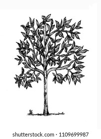 Whimsical Abstract Tree Large Leaves Pen Stock Illustration 1109699987 ...