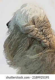 White Afghan Hound Got Hair Braided. Dog Long Hair. Drawing Afghan Hound Dog