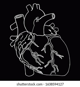 White Anatomical Heart Outline On A Black Background