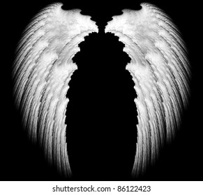 White Angel Wings