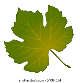 White Background Autumnal Leave Stock Illustration 64084054 | Shutterstock