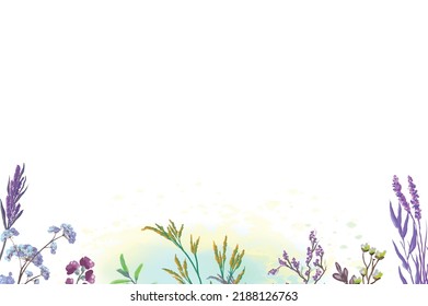 White Background Flowers Herbs Illustration Plant Stock Illustration