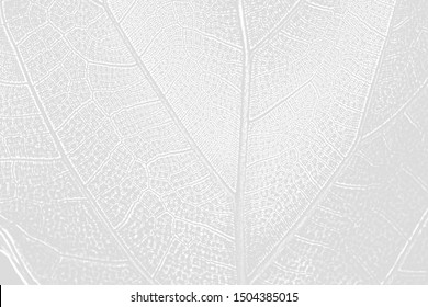 white background leaf surface graphic texture illustration - Shutterstock ID 1504385015