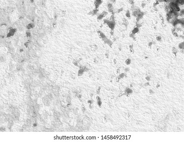 white background new texture. wall  paper shape. High quality  and have copy space for text