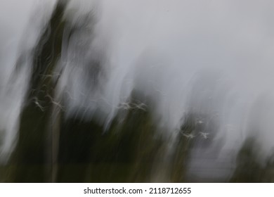 White Birds Flocking - Flying Motion Blurred - Slow Exposure Illustration 