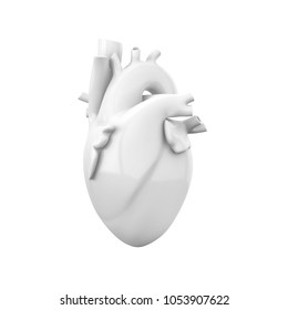 White Blank Heart, Anatomical Model Isolated On White Background. 3D Illustration.