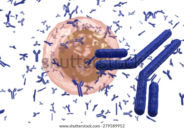 White Blood Cell B Lymphocyte Plasma Stock Illustration 279589952