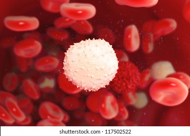 white blood cell illustration
